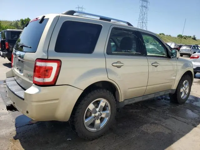 2010 FORD ESCAPE LIMITED  