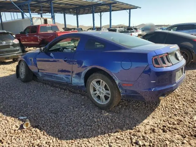 2014 FORD MUSTANG 