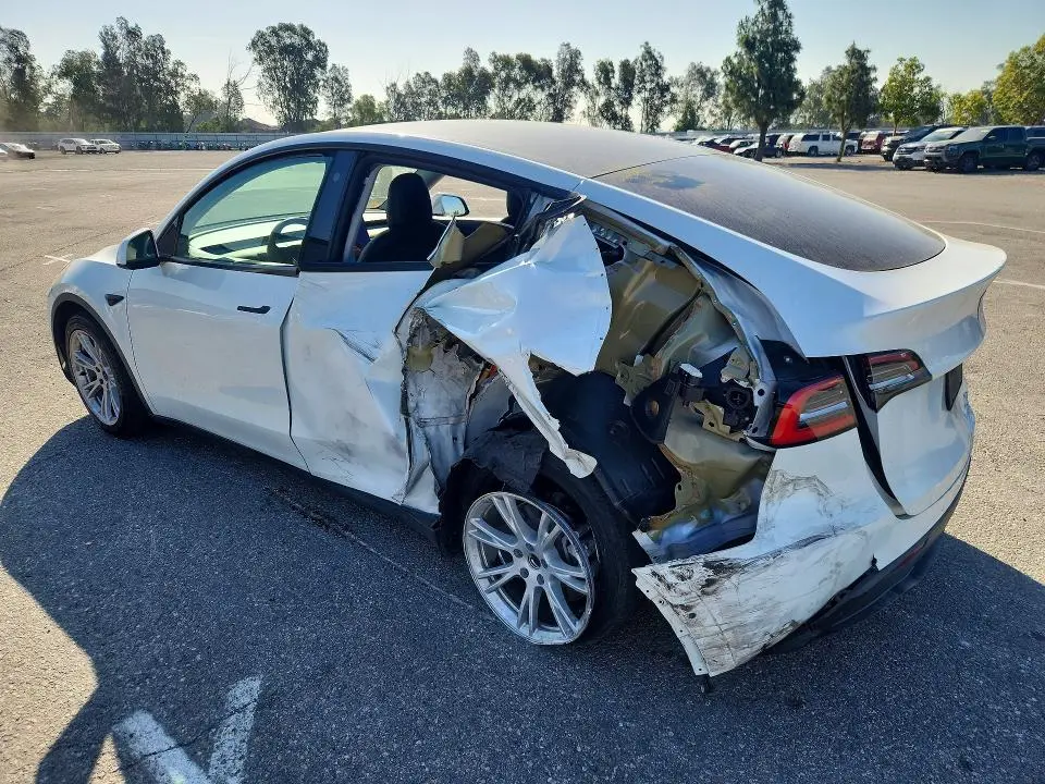 2021 TESLA MODEL Y   