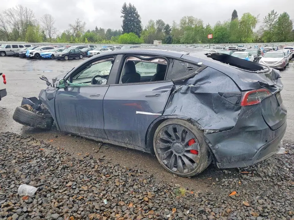 2022 TESLA MODEL Y   