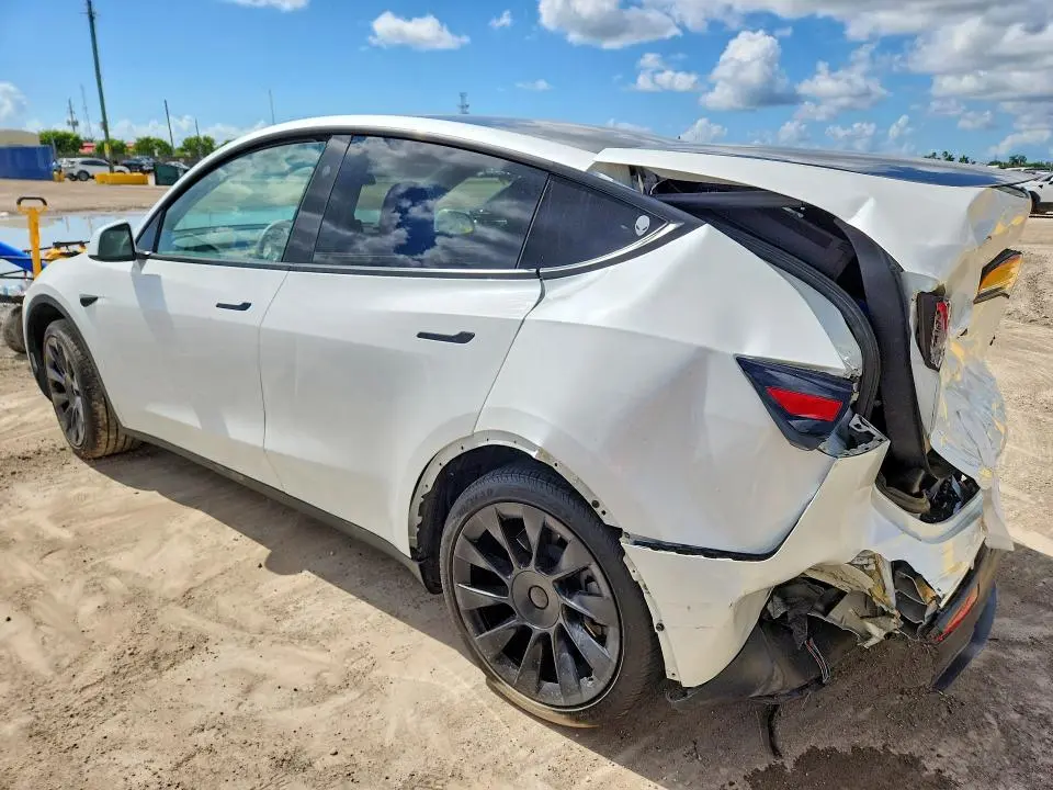 2024 TESLA MODEL Y   