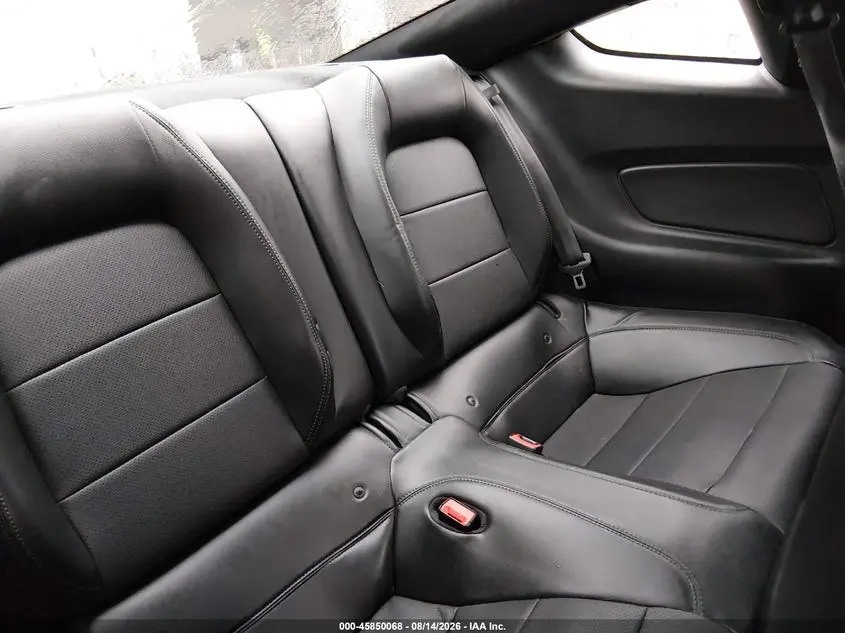 2019 FORD MUSTANG BULLITT