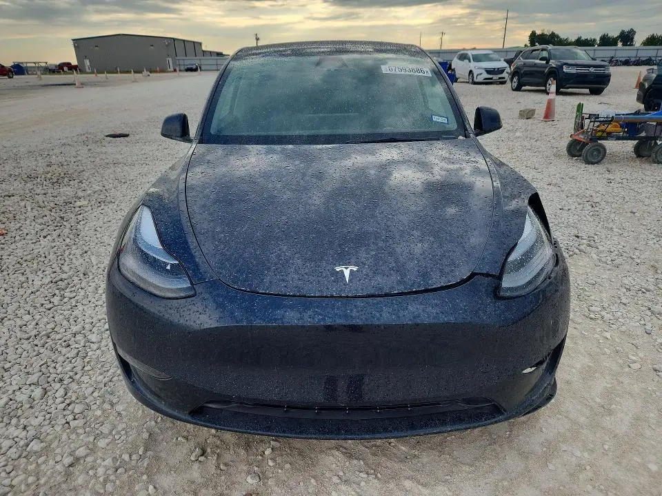 2025 TESLA MODEL Y   