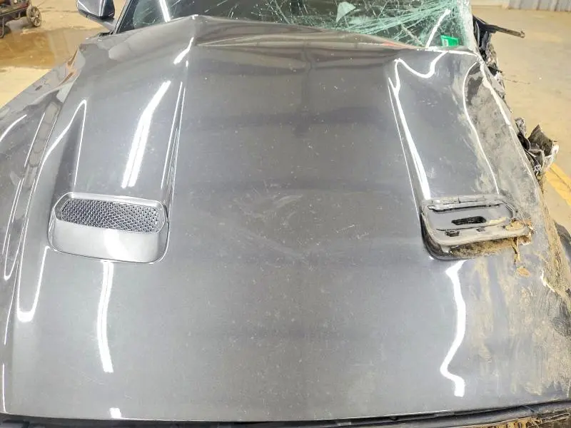 2019 FORD MUSTANG GT  