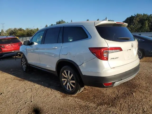 2019 HONDA PILOT EXL  