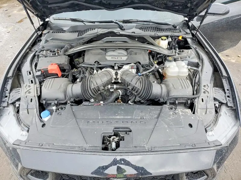 2025 FORD MUSTANG GT  
