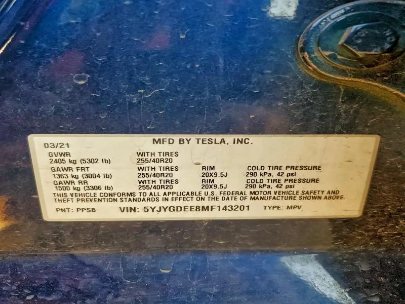2021 TESLA MODEL Y   