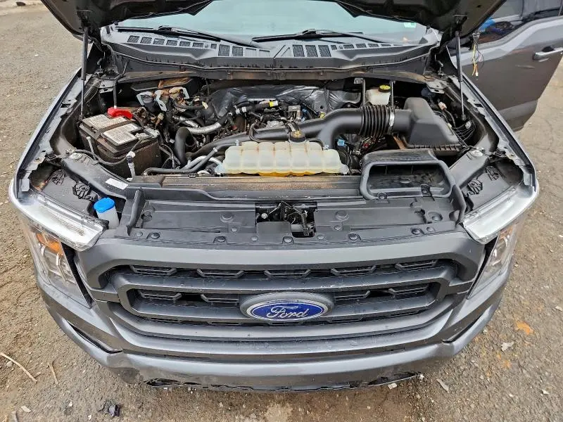 2023 FORD F150 SUPERCREW  