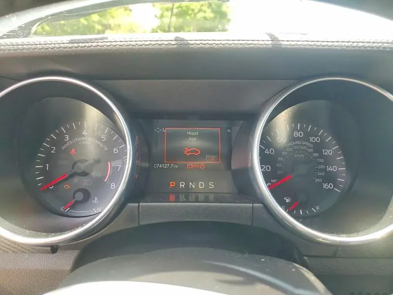 2019 FORD MUSTANG   