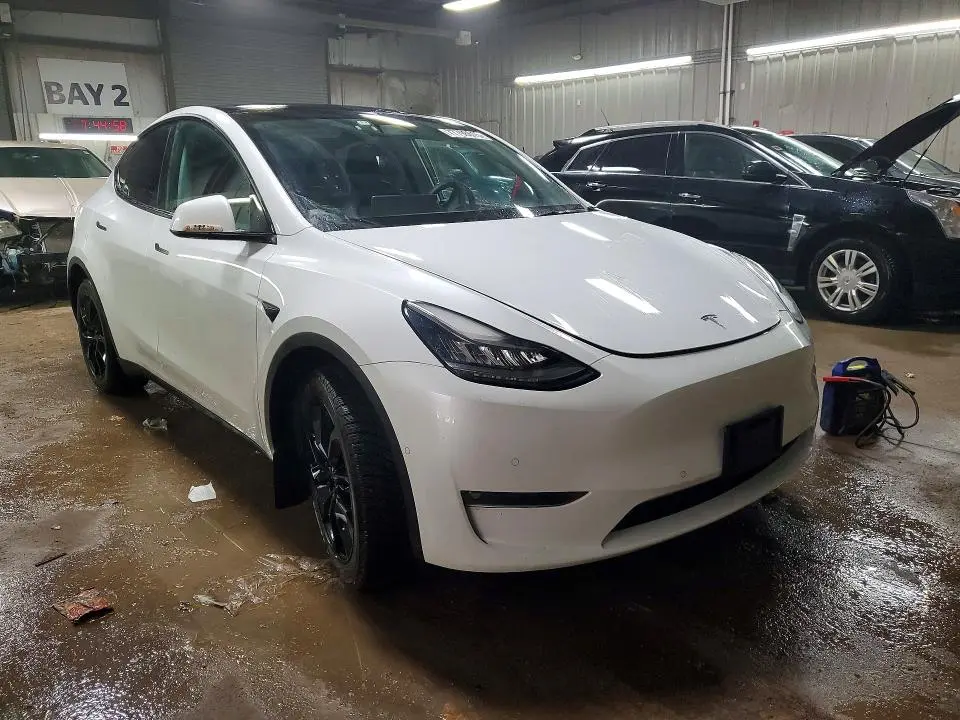 2021 TESLA MODEL Y   
