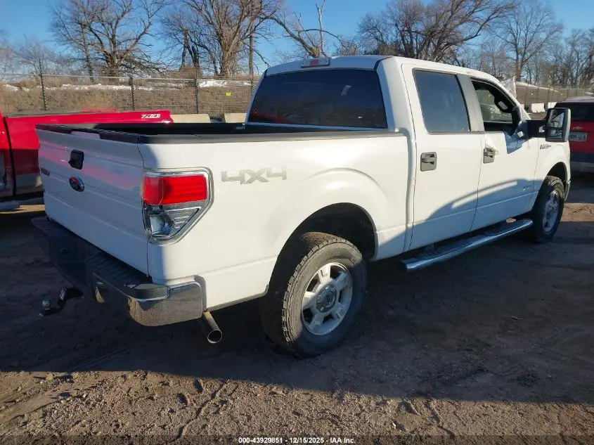 2014 FORD F-150 XLT