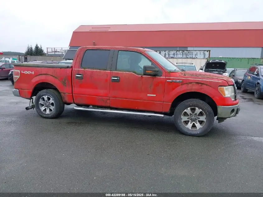 2013 FORD F-150 XLT