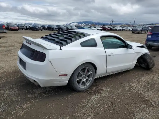 2014 FORD MUSTANG   