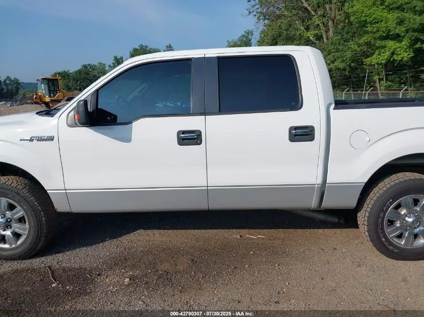 2011 FORD F-150 XLT