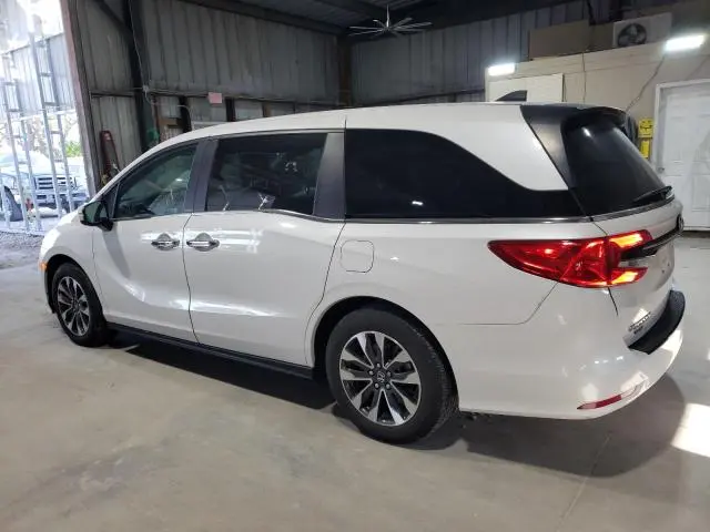 2024 HONDA ODYSSEY EXL