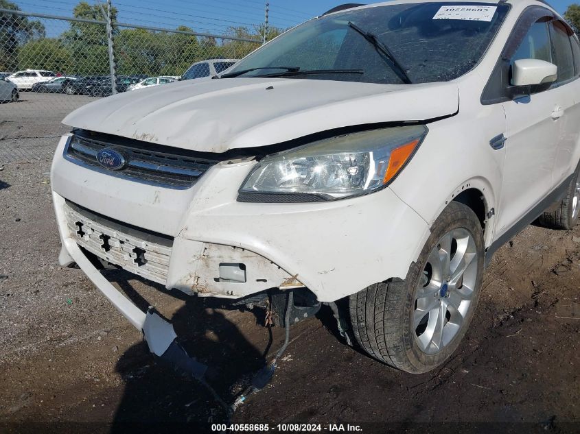 2013 FORD ESCAPE SEL