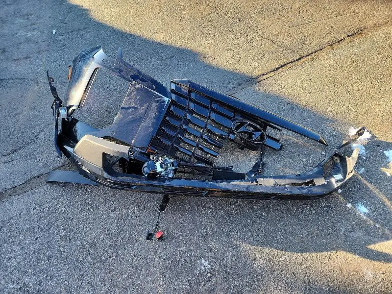 2025 HYUNDAI PALISADE XRT  