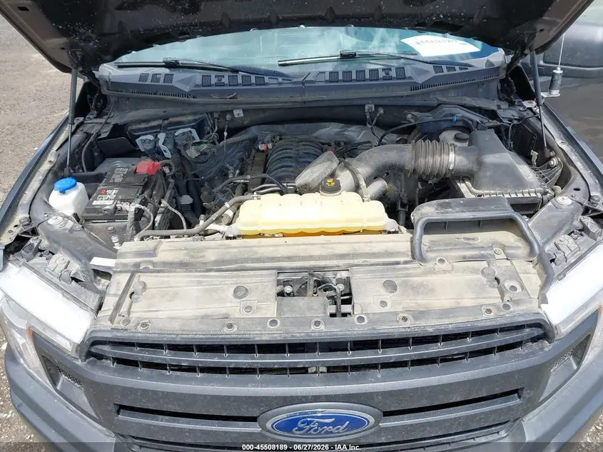 2019 FORD F-150 KING RANCH/LARIAT/PLATINUM/XL/XLT