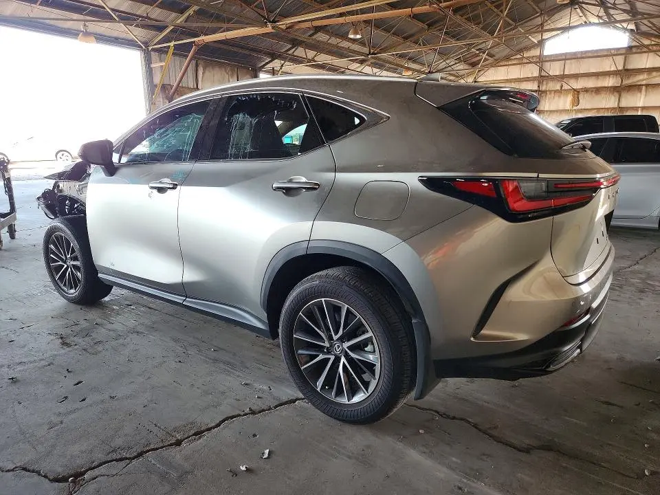 2025 LEXUS NX   