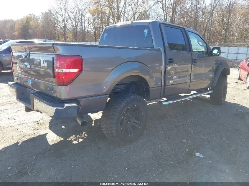 2011 FORD F-150 XLT