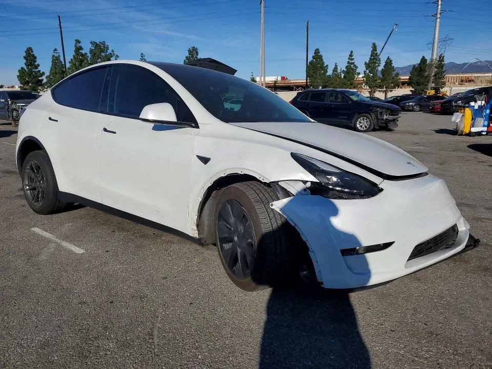 2025 TESLA MODEL Y   