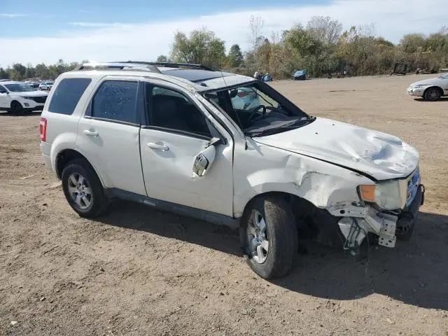 2010 FORD ESCAPE LIMITED  
