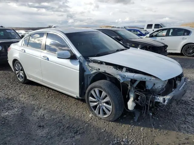 2011 HONDA ACCORD EXL