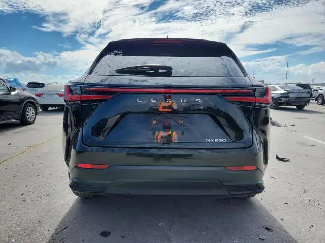 2024 LEXUS NX 250 BASE  