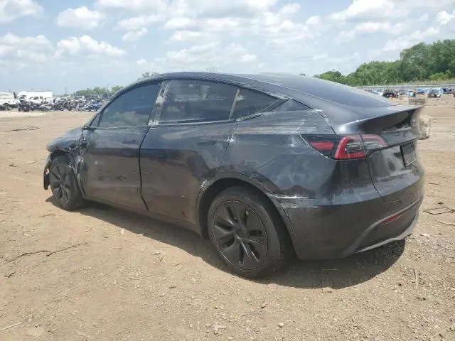 2025 TESLA MODEL Y   