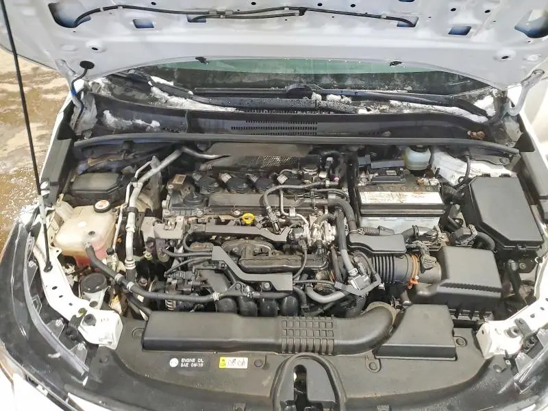 2019 TOYOTA COROLLA SE  