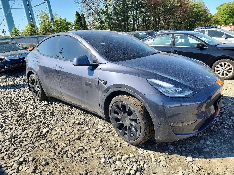 2021 TESLA MODEL Y   
