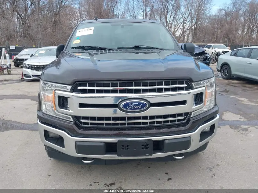 2019 FORD F-150 XLT