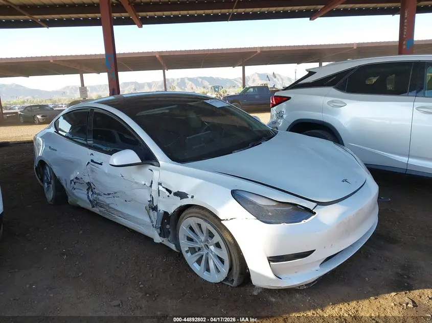 2023 TESLA MODEL 3 REAR-WHEEL DRIVE