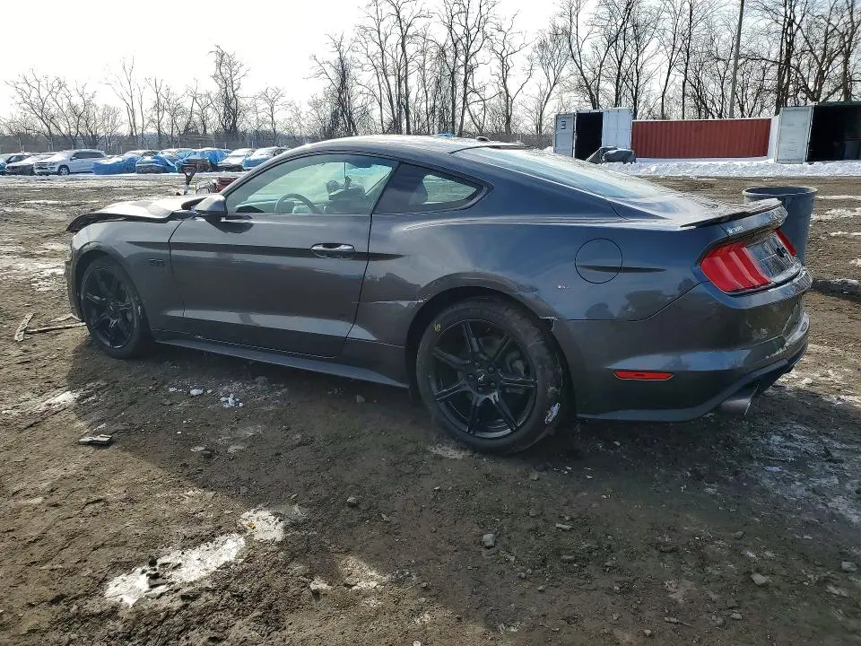 2019 FORD MUSTANG GT  