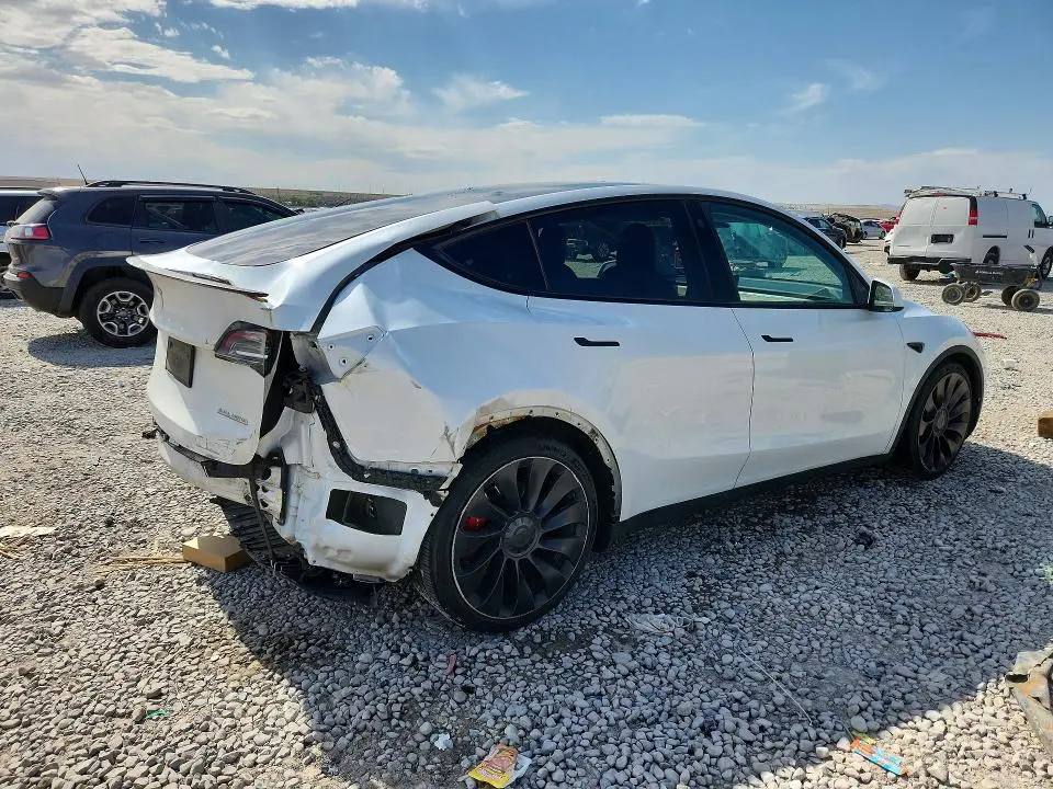 2021 TESLA MODEL Y   
