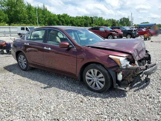 2011 HONDA ACCORD EXL