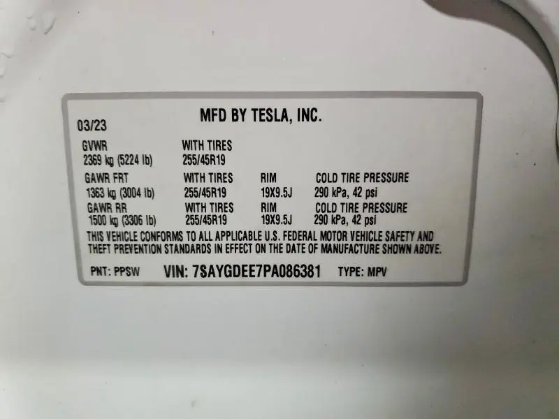 2023 TESLA MODEL Y   