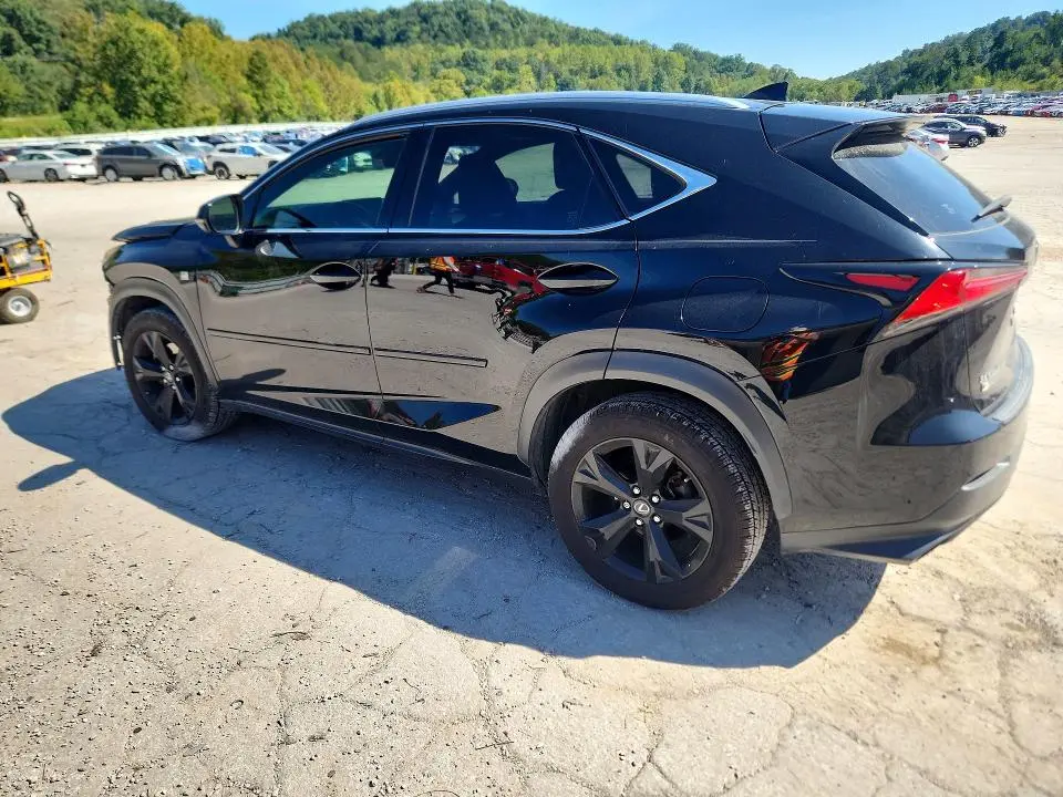 2019 LEXUS NX 300 F SPORT  
