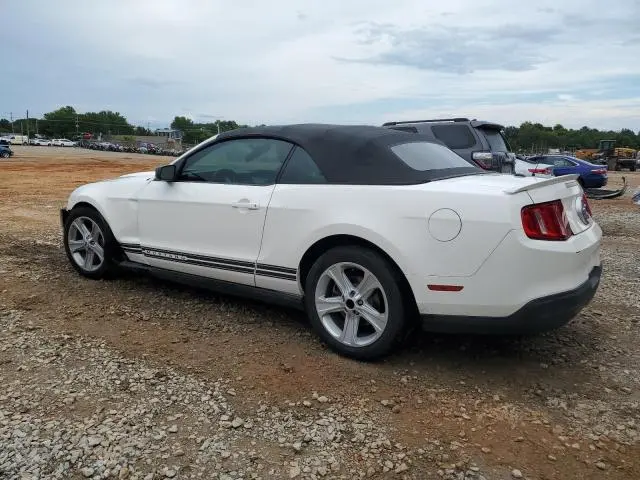 2010 FORD MUSTANG