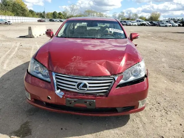 2010 LEXUS ES 350  