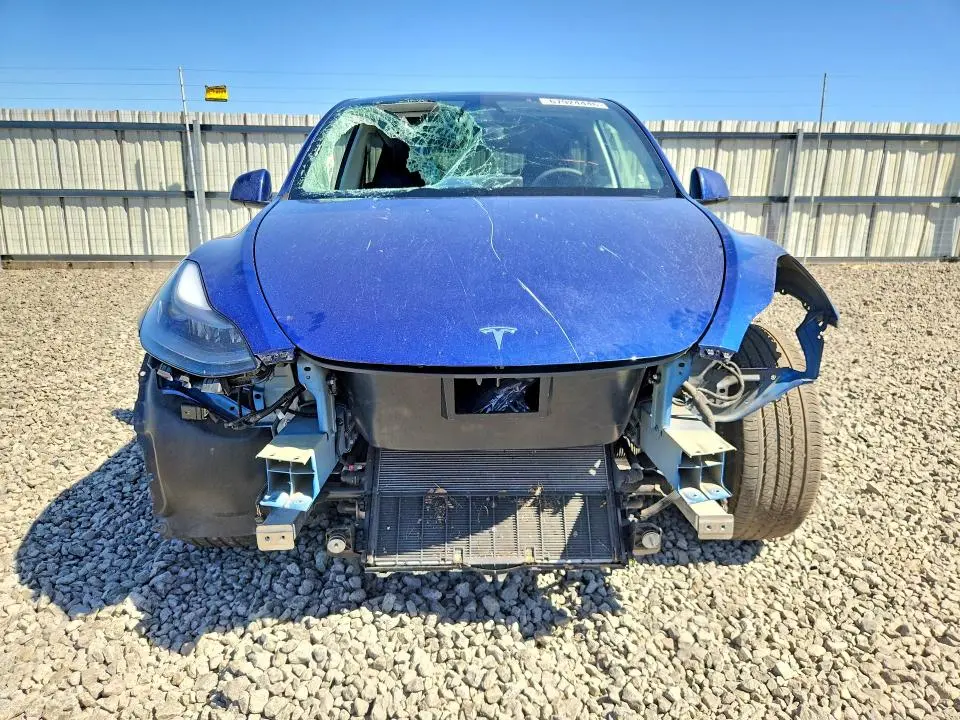 2025 TESLA MODEL Y   