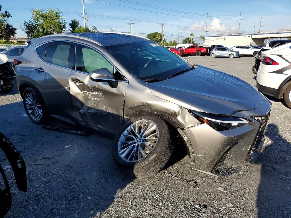 2025 LEXUS NX 350 PREMIUM  