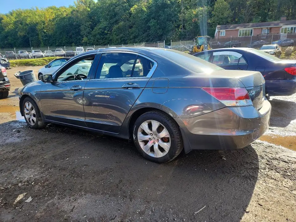 2010 HONDA ACCORD EXL  