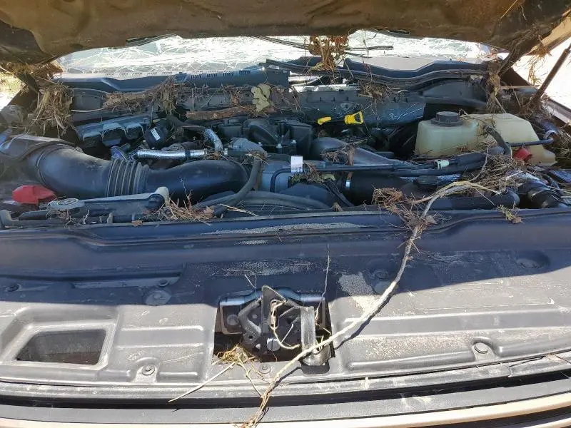 2017 FORD F250 SUPER DUTY  