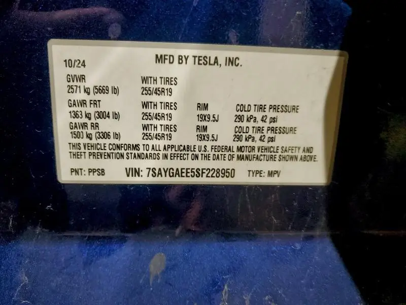 2025 TESLA MODEL Y   
