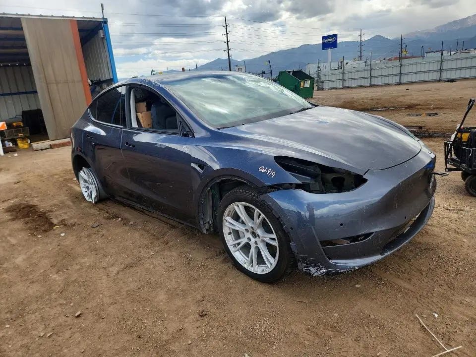 2021 TESLA MODEL Y   