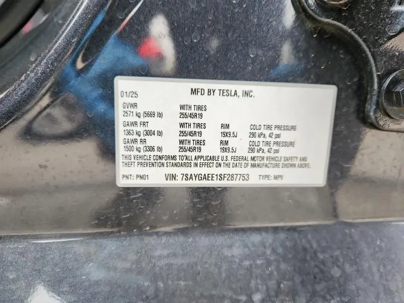 2025 TESLA MODEL Y   