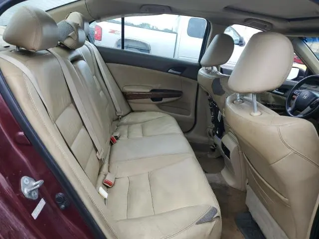 2010 HONDA ACCORD EXL  