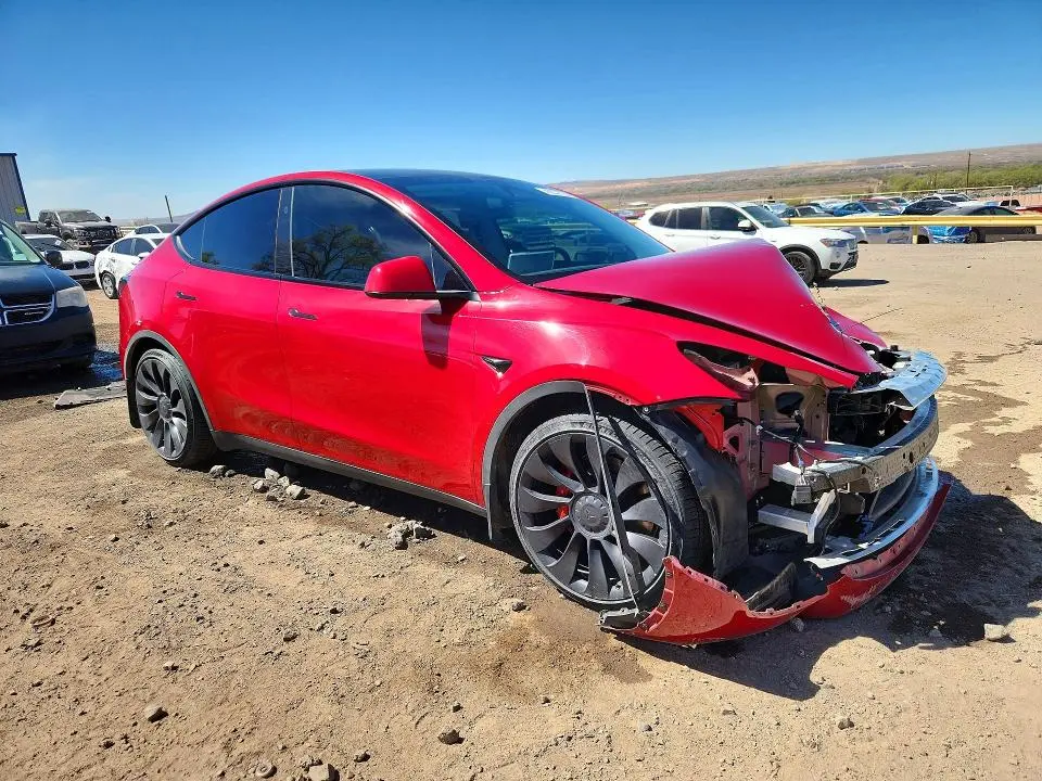 2023 TESLA MODEL Y   