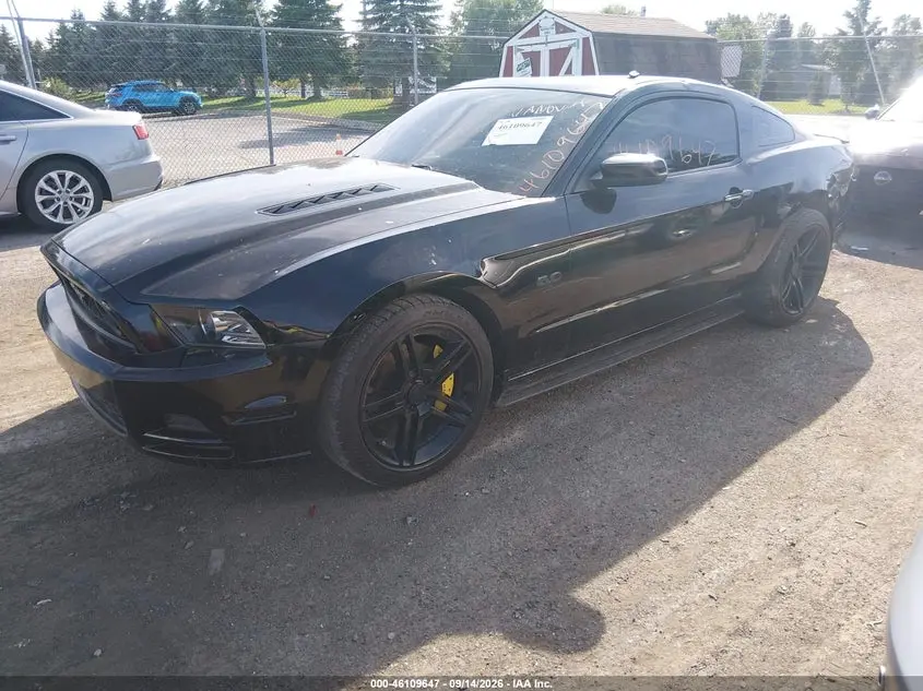 2014 FORD MUSTANG GT
